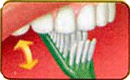 How to brush