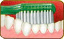 How to brush