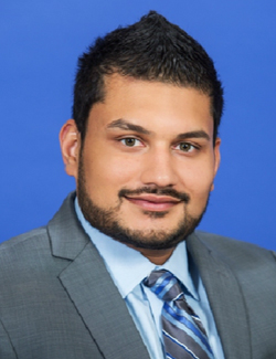 Dr. Ravi K. Mangal