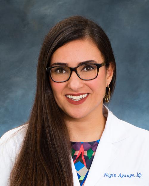 Dr. Negin Agange