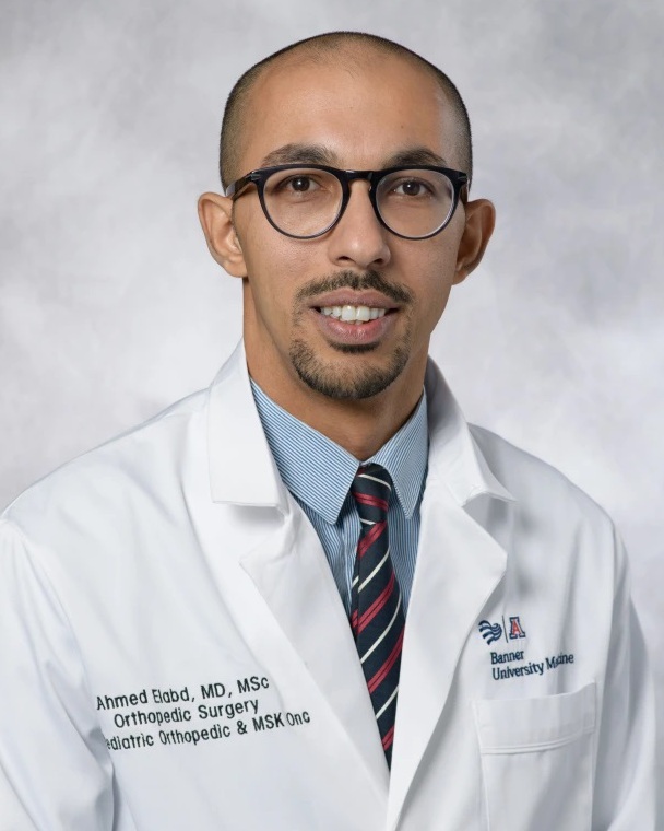 Dr. Ahmed                 Elabd